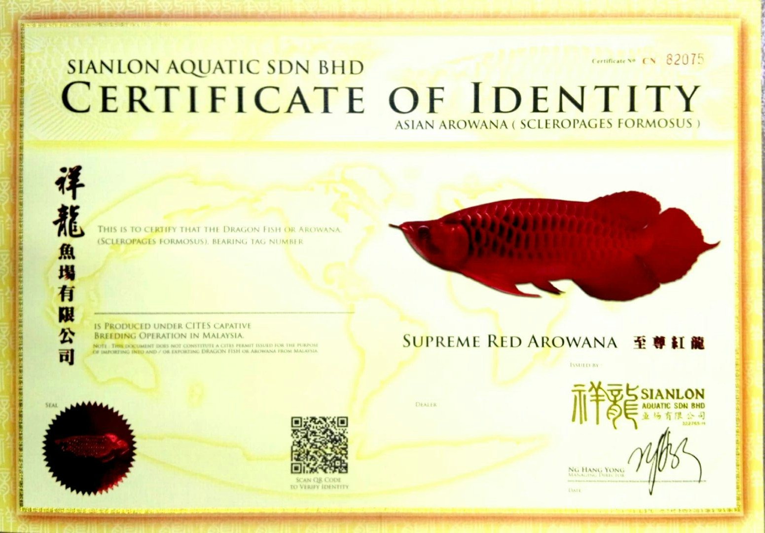 Bern SUPREME RED AROWANA